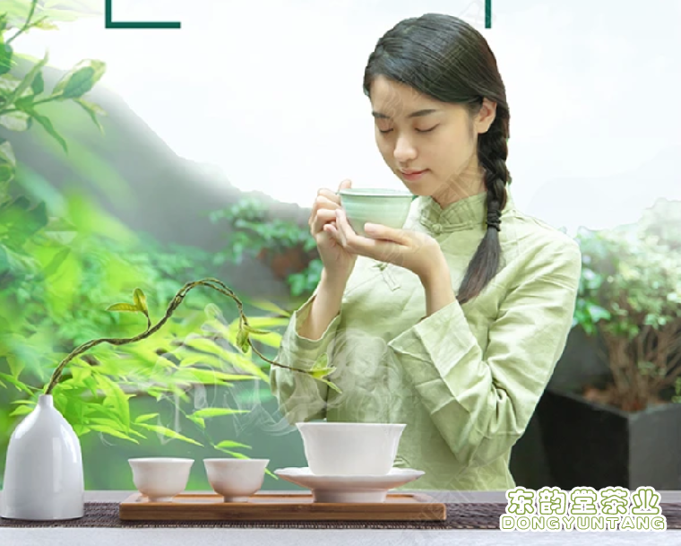 身边越来越多的人开始喜欢喝茶，甚至走
