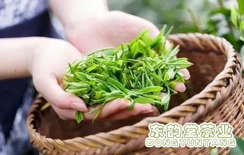 茶叶加工现场工程案例